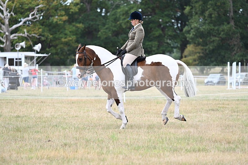 WJ7_5067 - Class 12 Ridden Cob