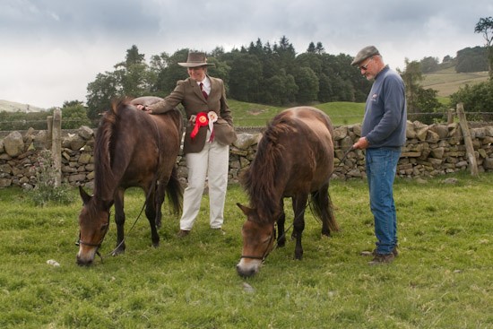 moniaive09-35 - Moniaive Horse Show 2009