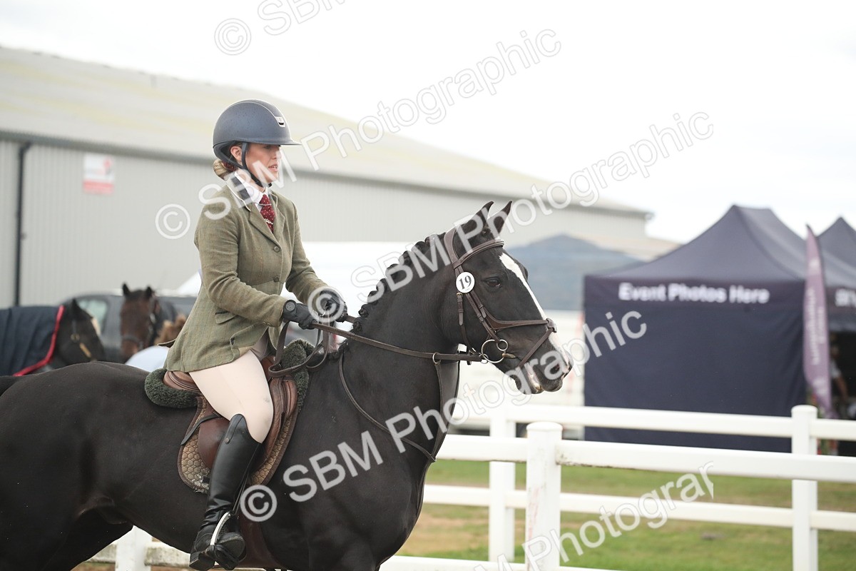 SBM_18456 - Class 510a - Working Veteran 90cm (15-19)