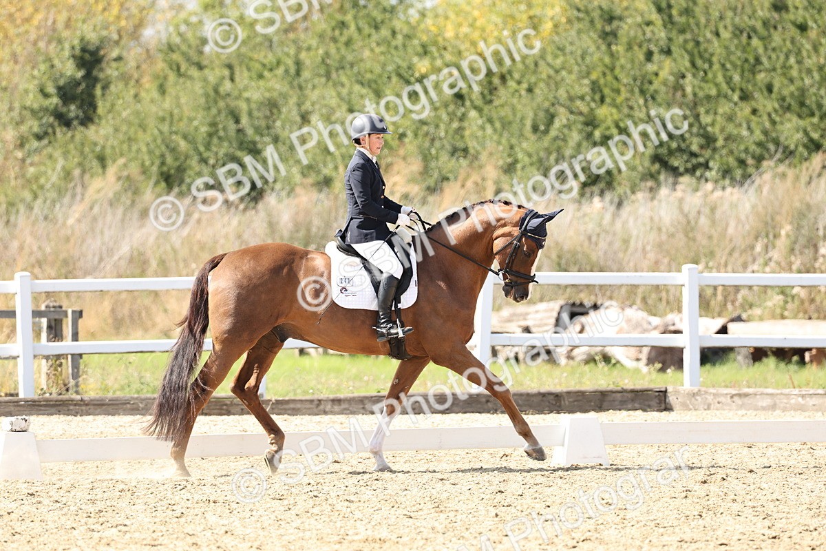 SBM_014926 - Class 7 - Medium 3