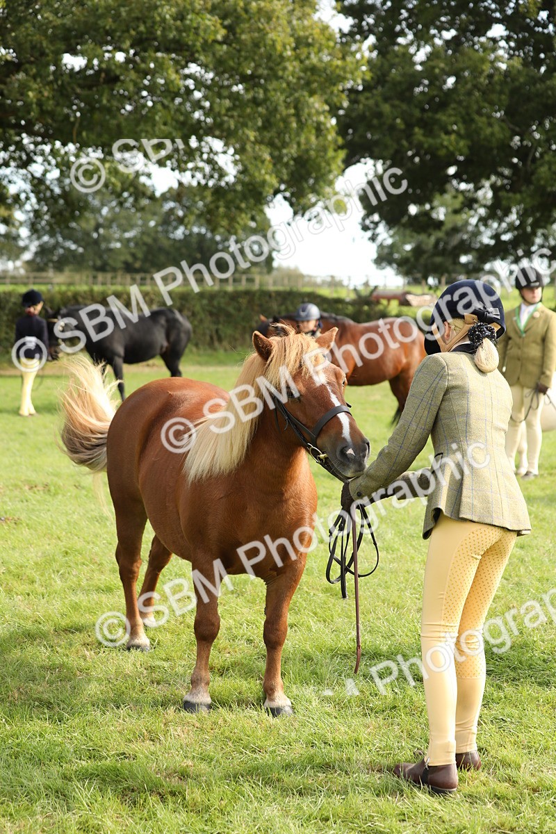 SBM_68647 - S40 - Junior Handler 9-12 Years