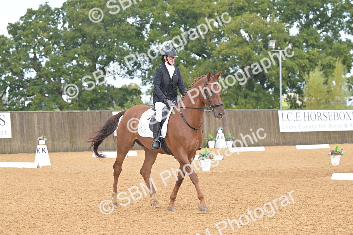 SBM_02316 - D2 - Small Tour Championship Intro 2