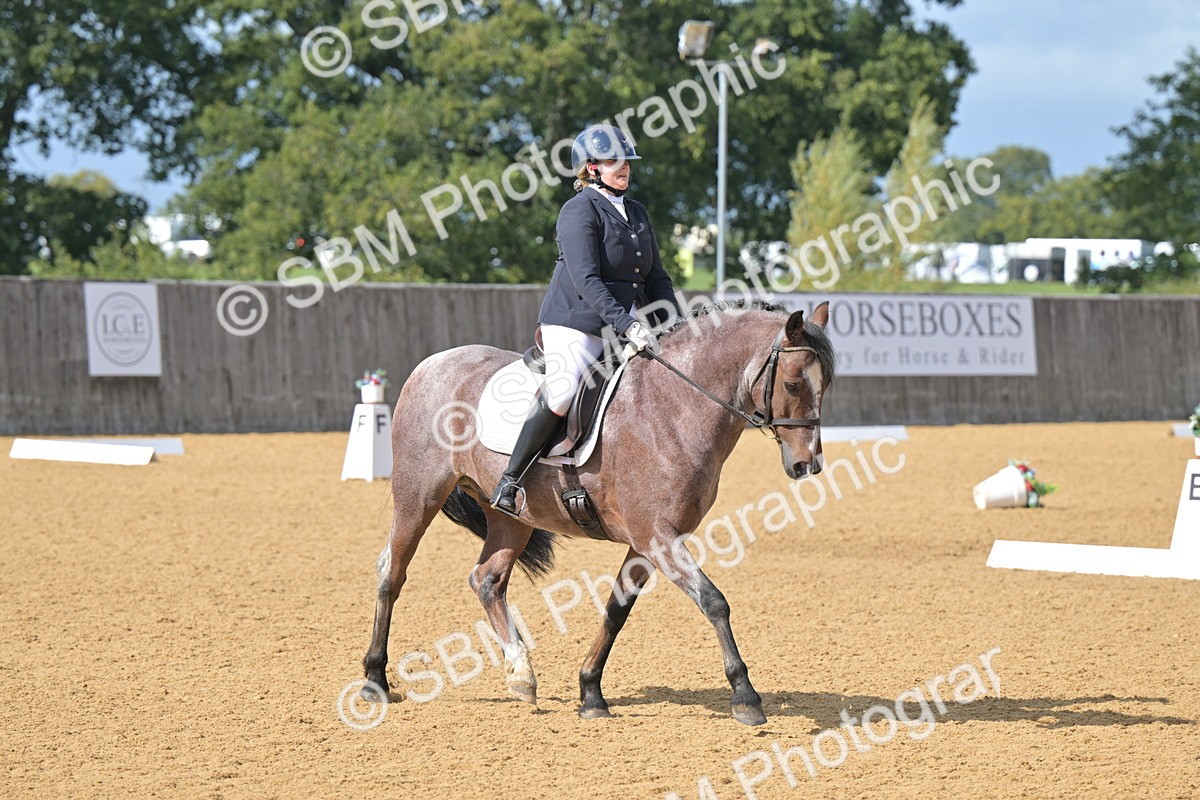 SBM_10919 - D3 - Small Tour Championship Intro 3