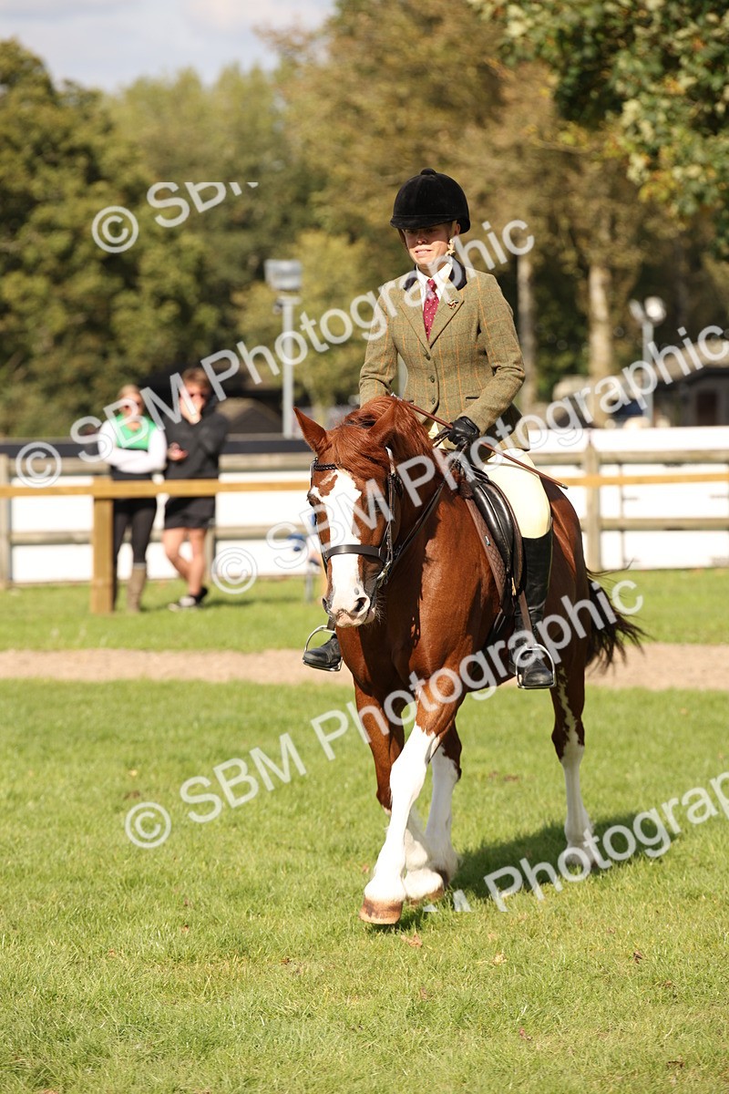 SBM_50047 - S26 - Young Veteran - Ridden