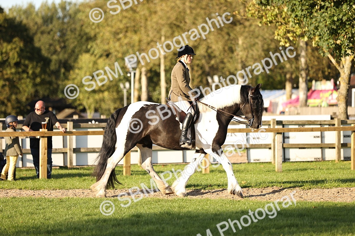 SBM_30107 - Novice & Newcomers Supreme Championship