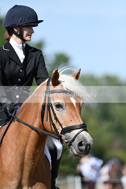 WJ7_0307 - Time 11:33 to 11:44