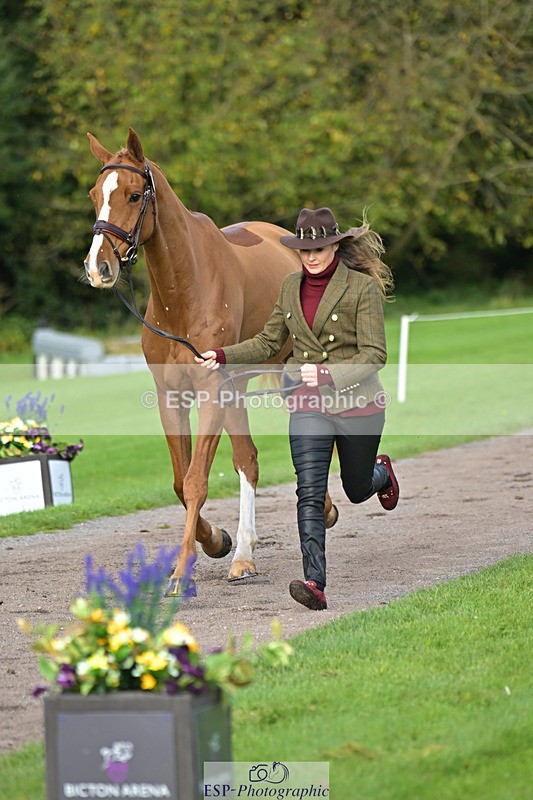 241023-131738-00184 - 010-Julia.Norman-SCOTCH.ON.THE.ROCK'Z