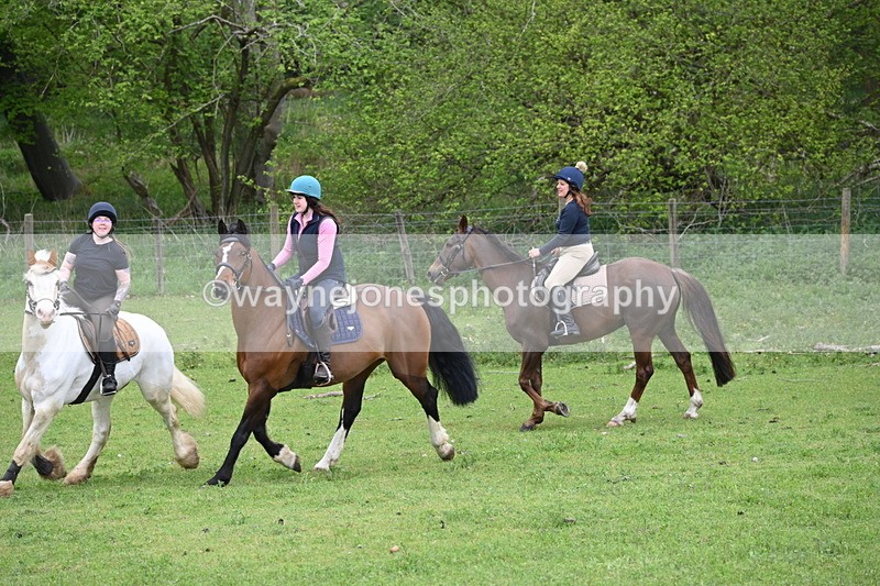 WJ6_3153 - A camera