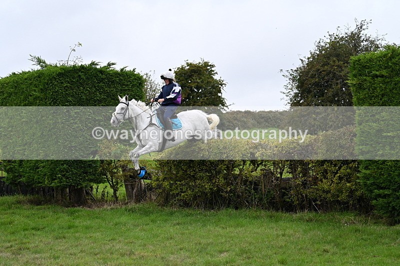 WJ7_8998 - Time 13:31 to 14:00