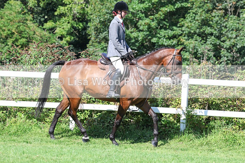 3E7A8327 - Class 4: Novice working Hunter