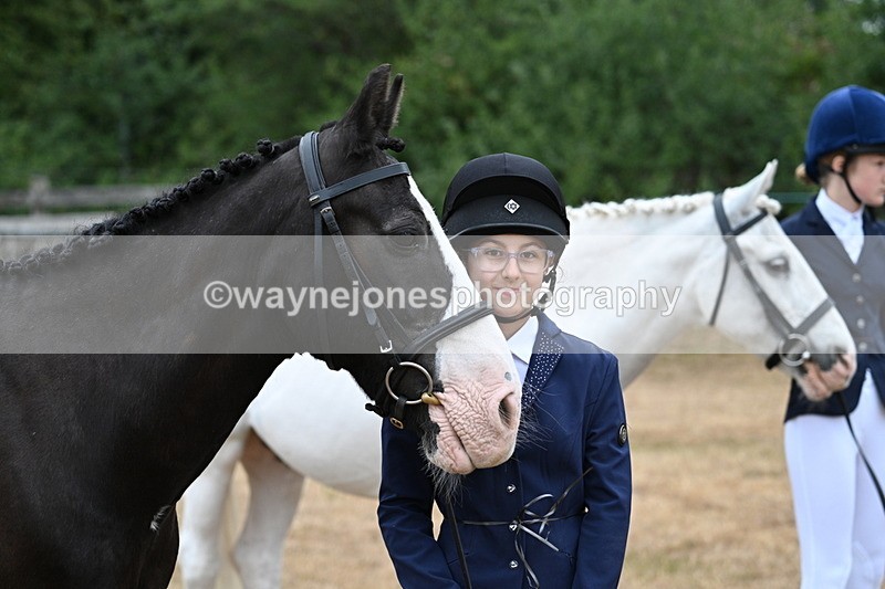 WJ7_9530 - Class 5 Most Handsome Gelding (up to 14.2hh)