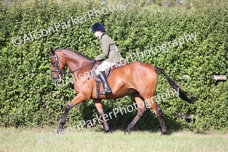 20260906-0391 - Class 14 - Ex Racehorse
