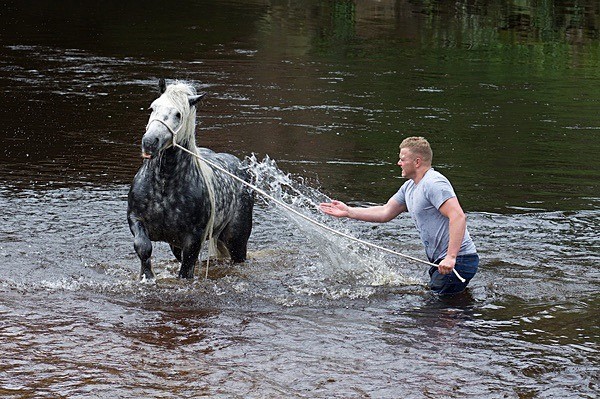  - Appleby Horse Fair