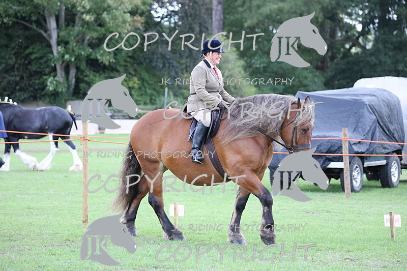 APP_3617 - Class 8 Ridden Class