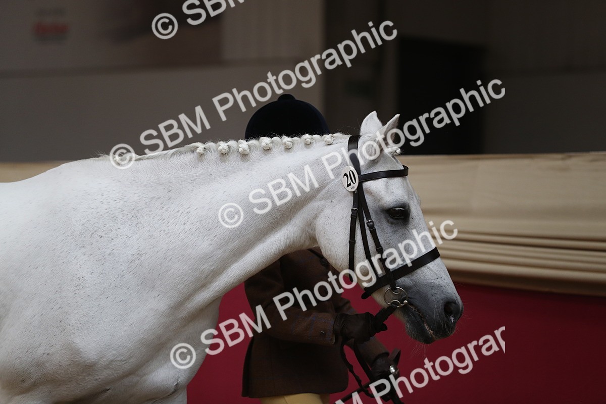 SBM_04901 - Class 8R- Regional -IH Veteran