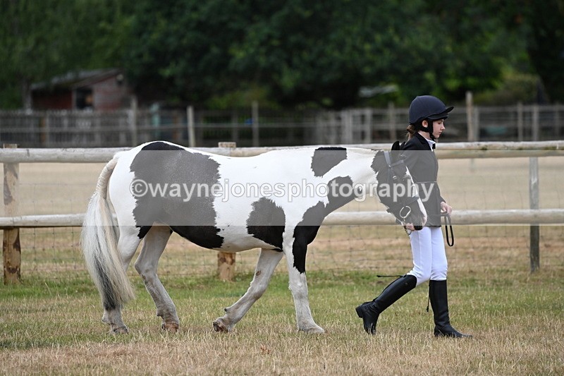 WJ6_4155 - Class 10 Coloured In-hand
