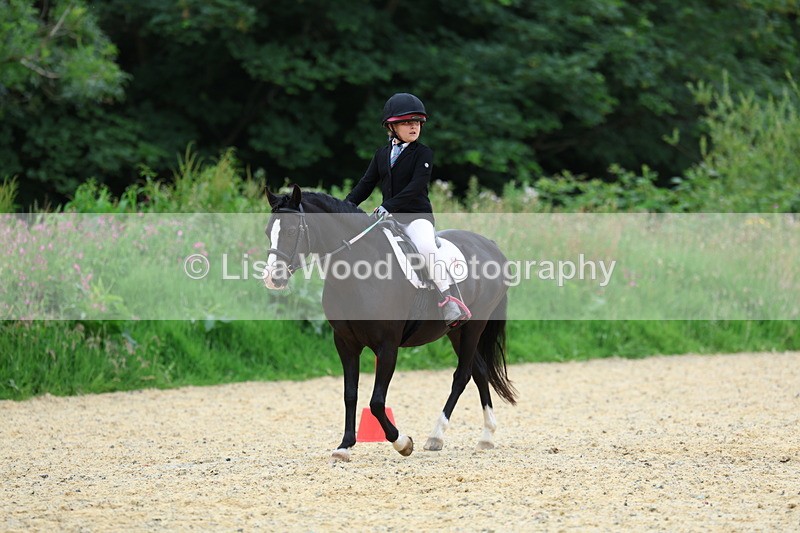 3E7A9464 - Walk trot run