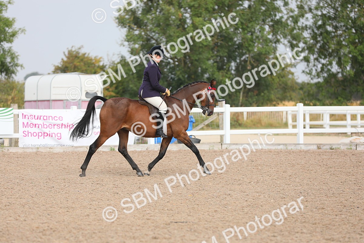 SBM_10874 - Class 304 Ridden Part Bred Horse/Pony