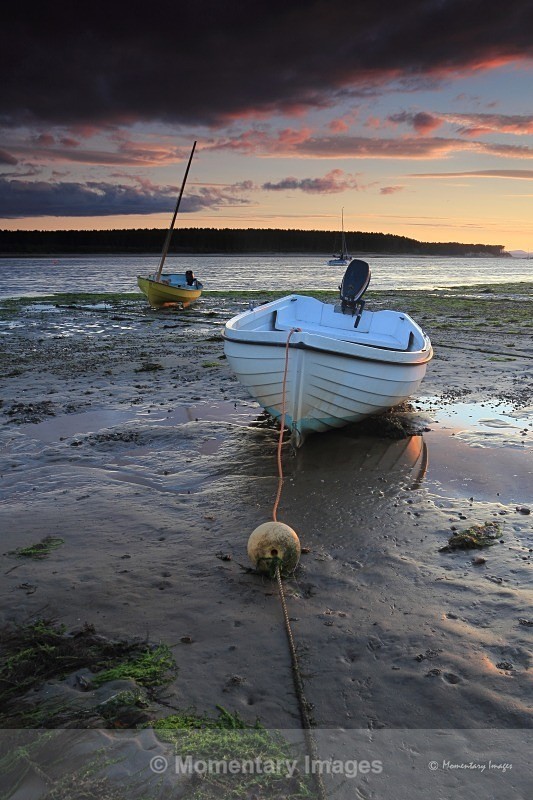 tranquil tide - At the waters edge gallery