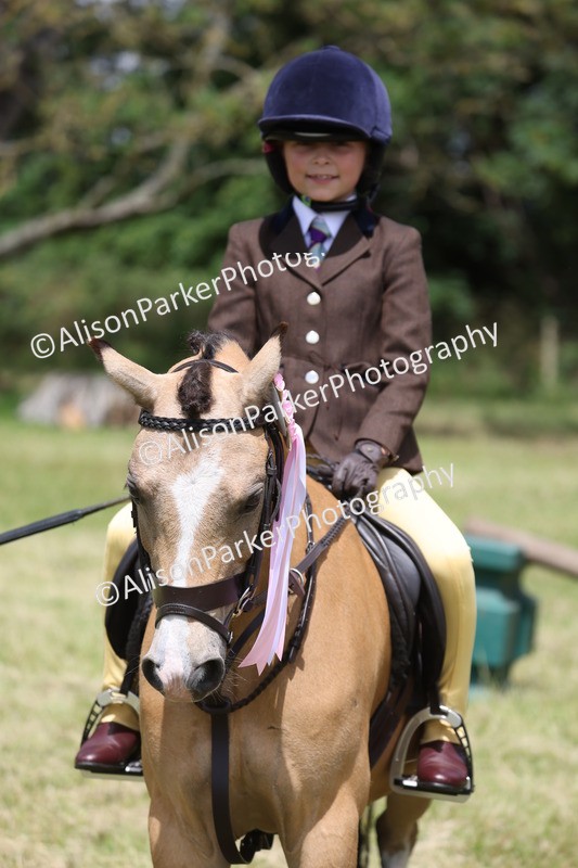 20260614-2156 - Class 21 - Novice Working Hunter Pony