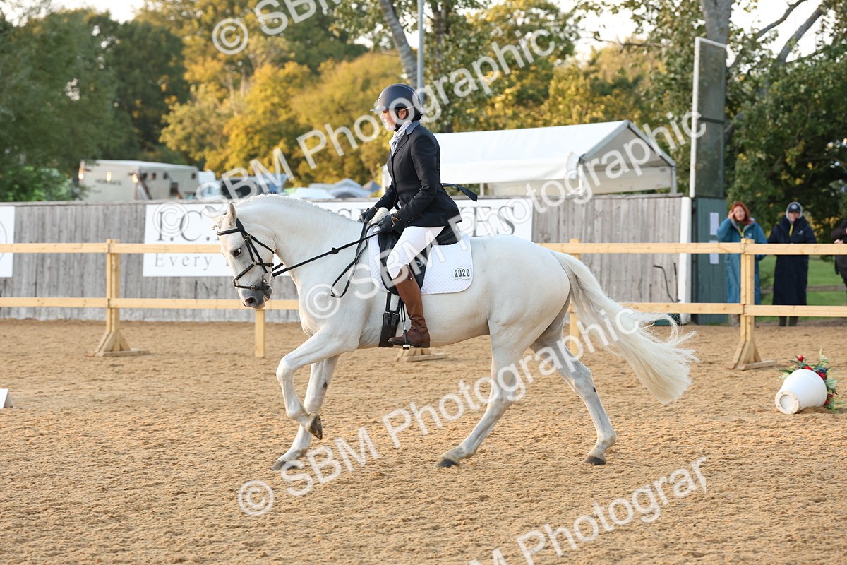 SBM_13647 - D9 - Small Tour Championship Prelim 3