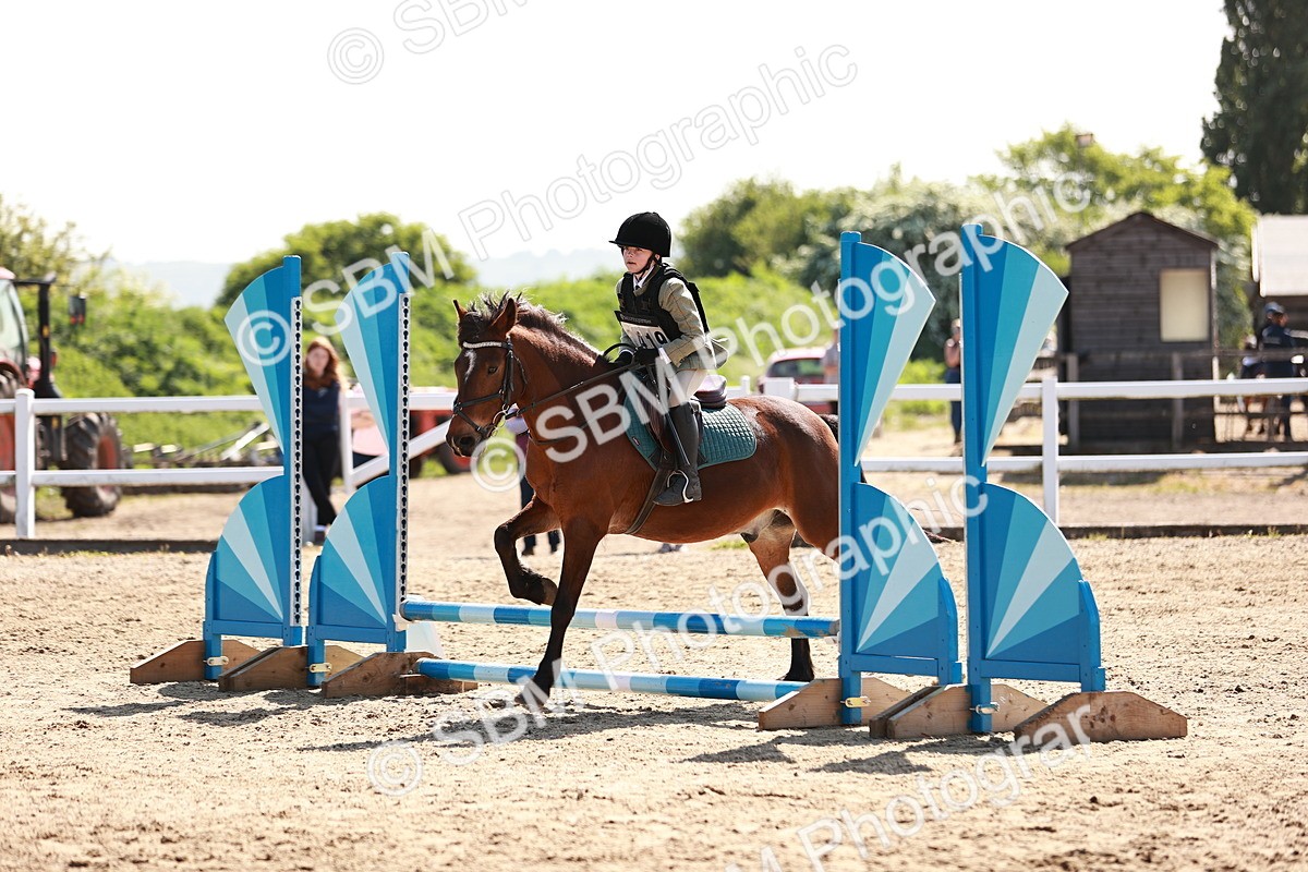 SBM_006808 - Class 2 - 50cm