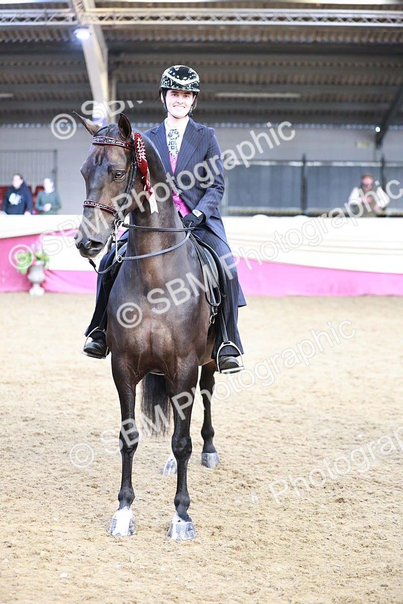 SBM_09150 - Class 12R - Regional Ridden Pre-Vet
