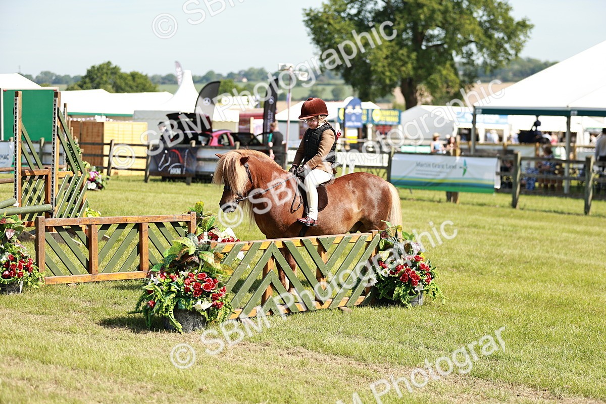 SBM_12763 - Class 106-107 - BSPS LIHS Working Sports Pony