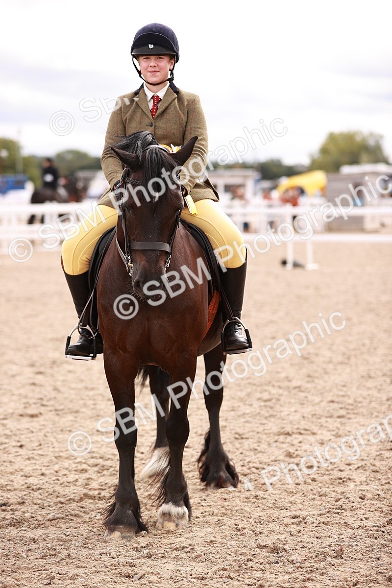 SBM_18406 - Class 418 - Best Condition - Jnr