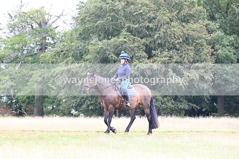 DSC_9347 - Time at Statue 14:33 to 15:10