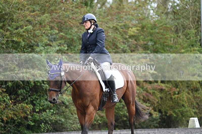 WJ7_6448 - Time 14:49 to 15:14