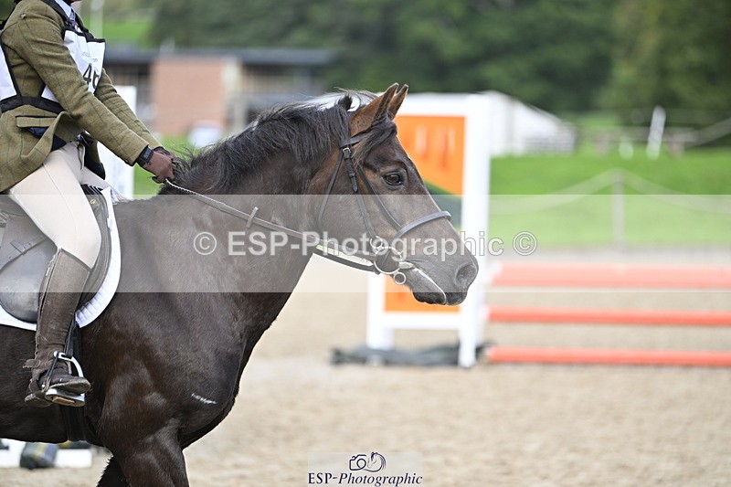 251005A-102820-03311 - Cls 04 GR 70cm