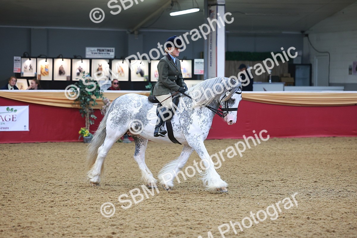 SBM_12600 - Class 103 - HOYS Veteran Qualifier - Ridden Pre Vet