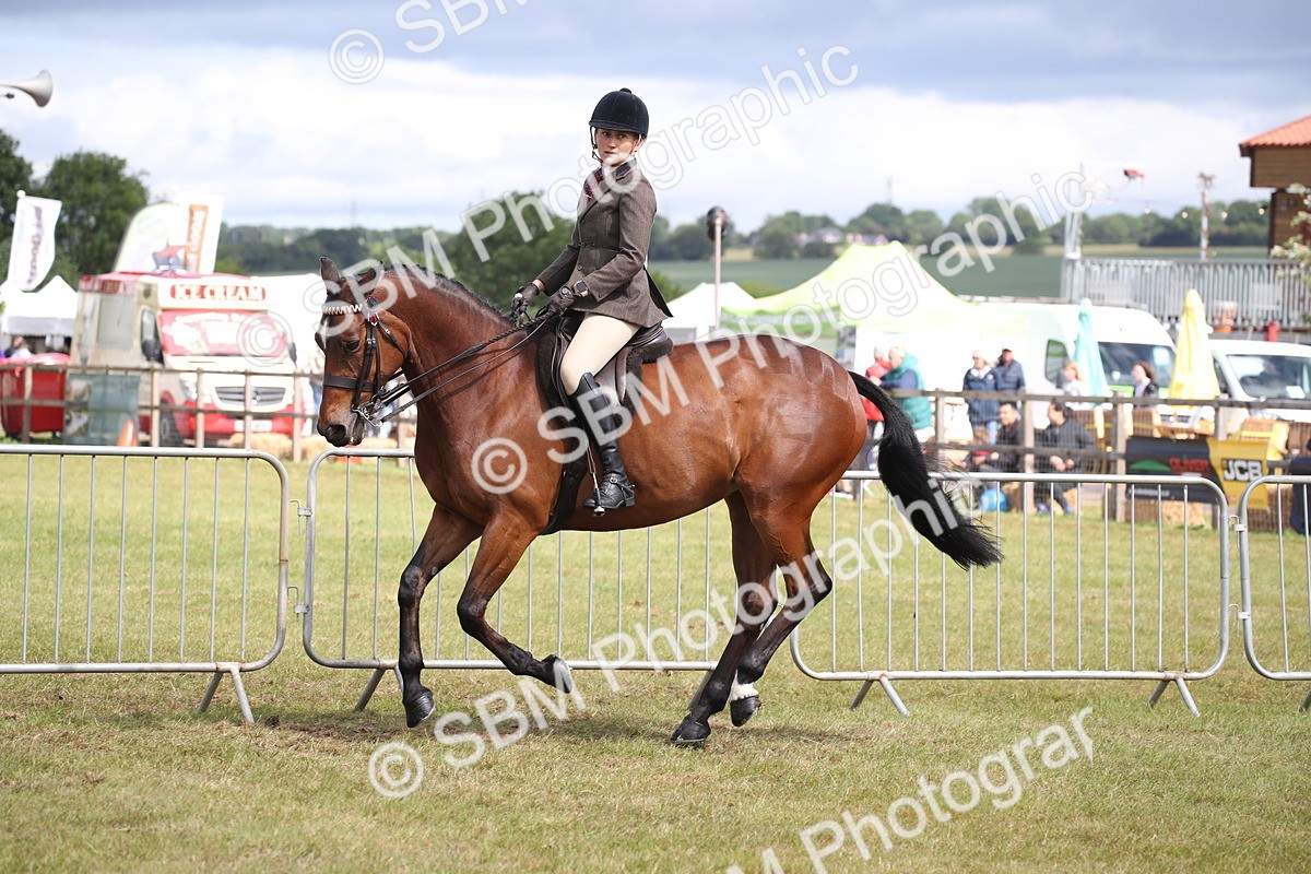 SBM_13249 - Class 95-96 - LIHS BSHA Rising Star Hack Riding Horse