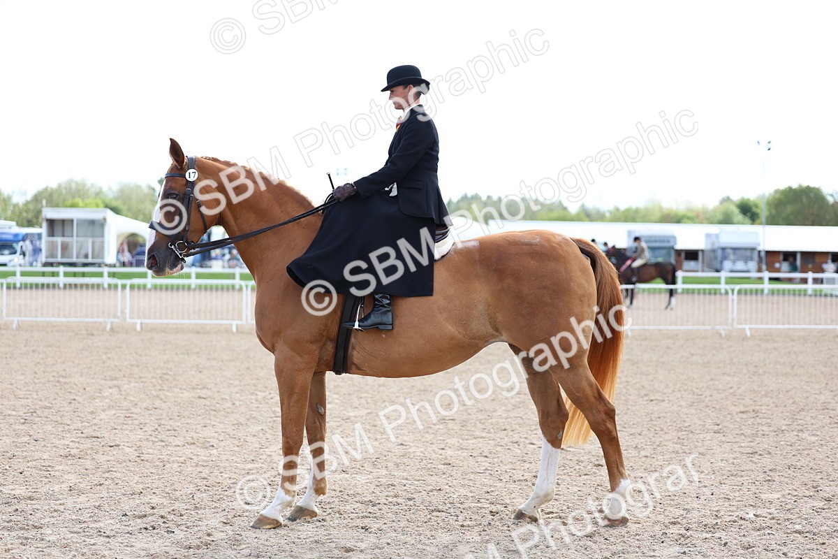SBM_17215 - Class 315 - Best Horse - Rider Combination