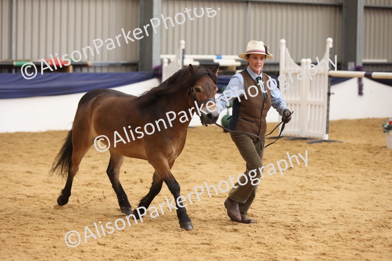 20260913-1720 - Class 115 - Gelding 4years and over