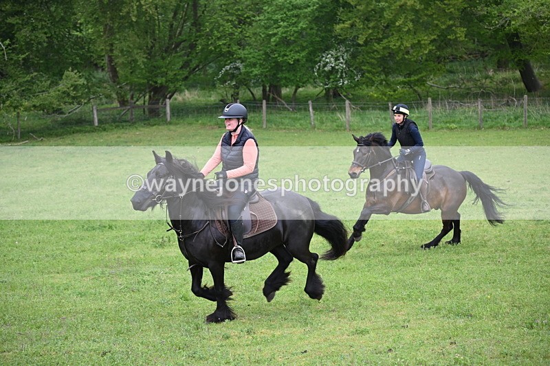 WJ6_2688 - A camera