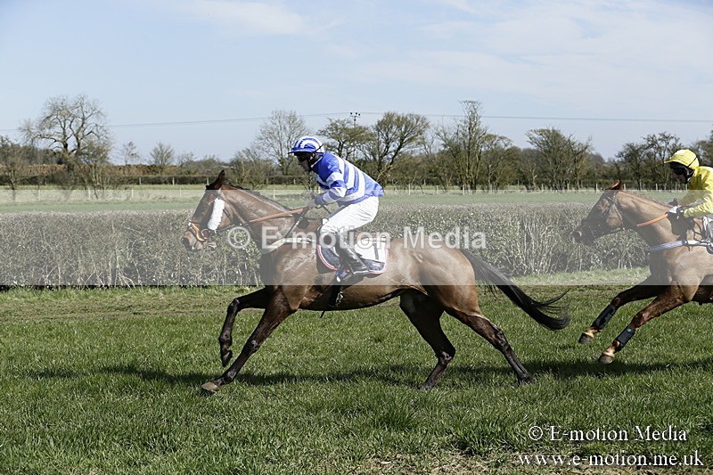 PtP 250317 106 - V.W.H. Hunt Point-to-Point Siddington 25/03/17