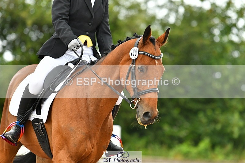 230708A-095710-02273 - Prelim 13