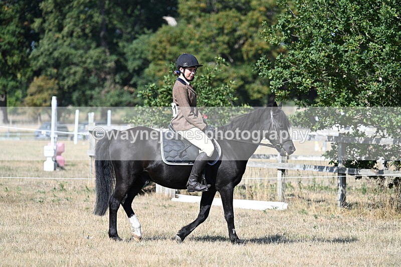 WJ7_3437 - Class 9 Mountain & Moorland Ridden