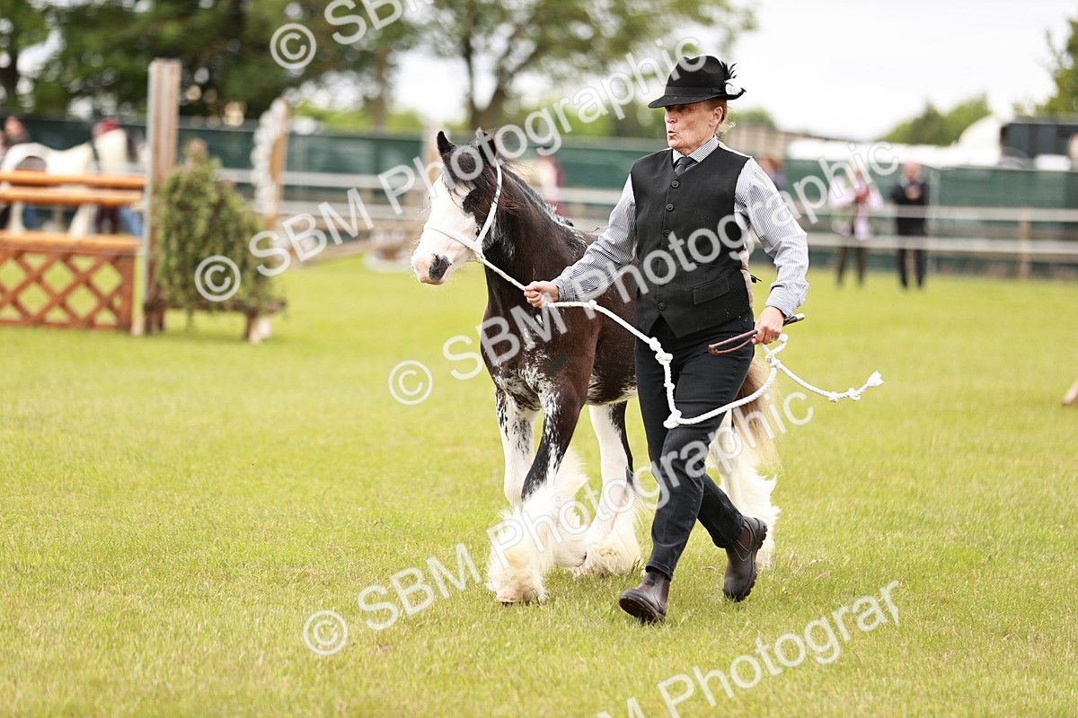 SBM_05972 - Class 39-41 TGCA In Hand and Ridden