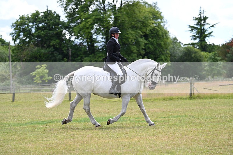 WJ7_9448 - Class 8 Ridden Veterans