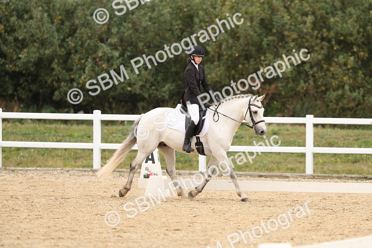 SBM_01074 - Class 8 - Novice 27 Champs