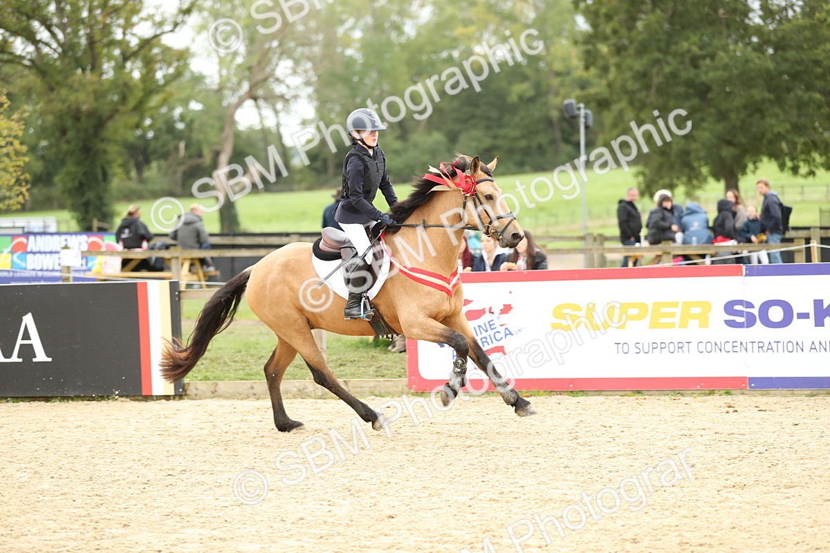 SBM_63204 - Supreme championship 75cm 80cm