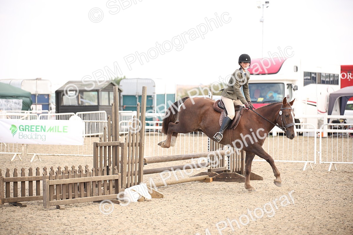 SBM_16038 - Class 408b - Working Veteran 70cm (20+)