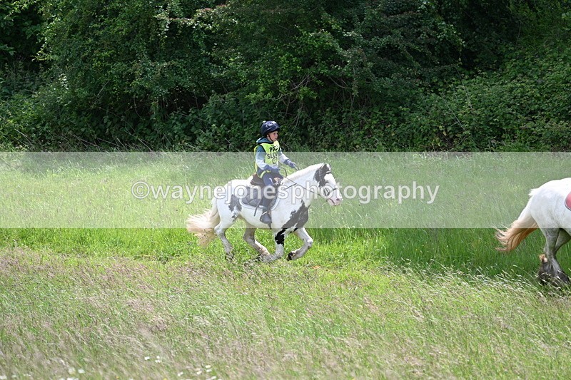 WJ7_8778 - Group 4 11am