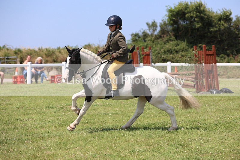 JPP_3083 - Class 22: Working Hunter 70cm