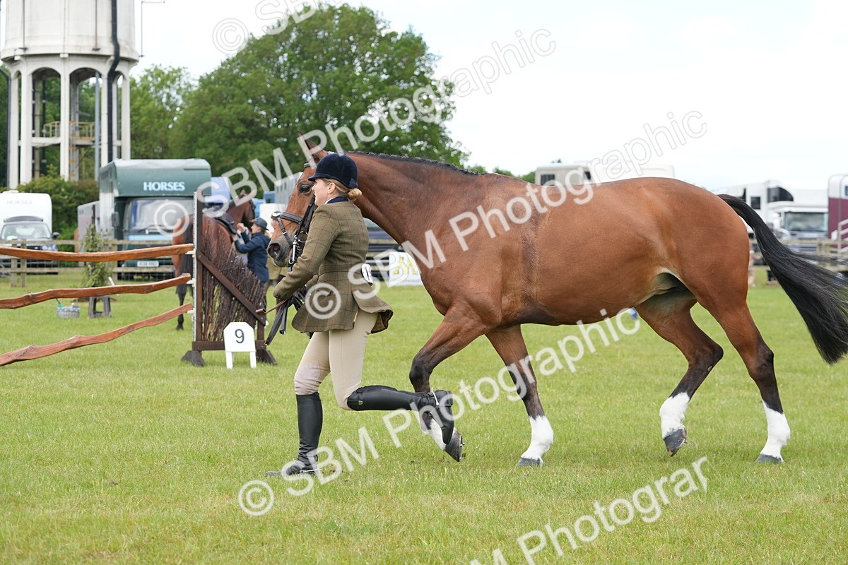 SBM_15050 - Class 100-102 - RIHS Working Hunter