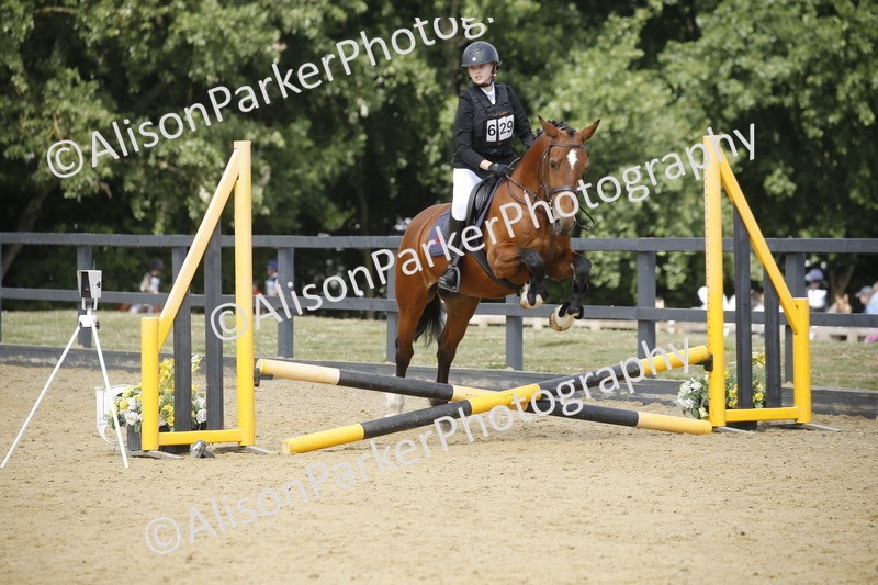 20250622-3919 - 50cm