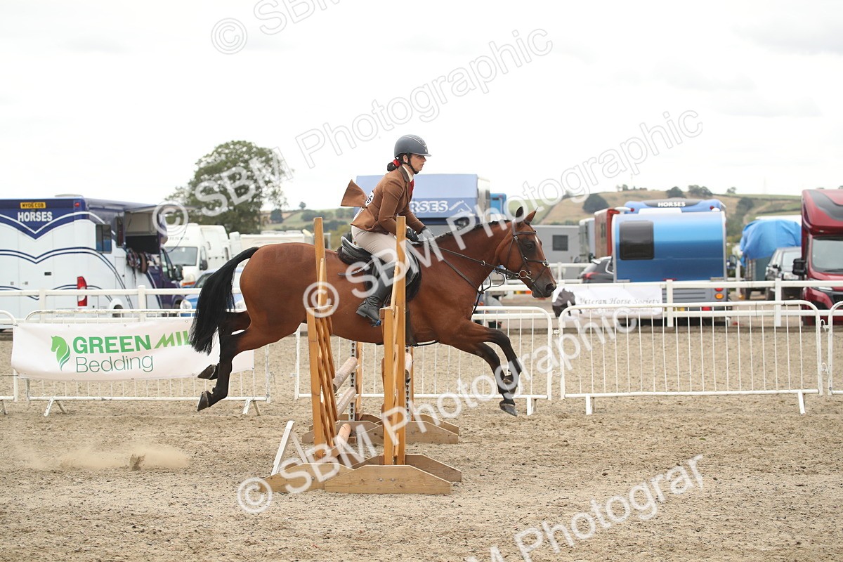 SBM_18396 - Class 509B - Working Veteran - 80cm (20+)